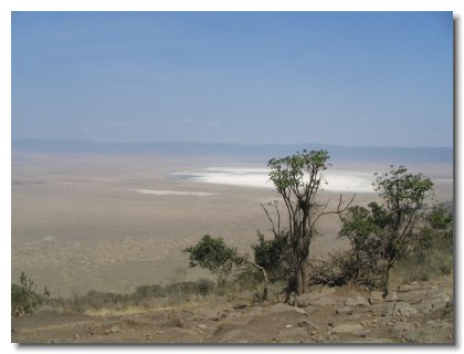 TA 60 - Ngorongoro Crater 1